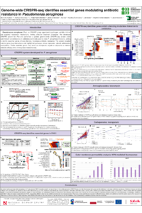 Poster PDF