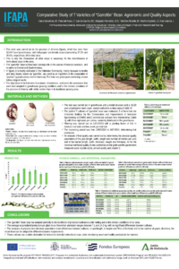 Poster PDF