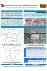 Poster PDF