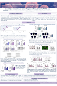 Poster PDF