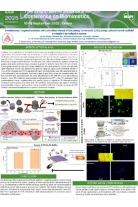 Poster PDF