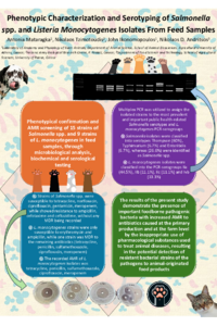 Poster PDF