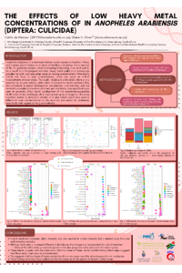 Poster PDF