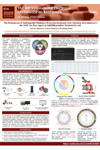 Poster PDF