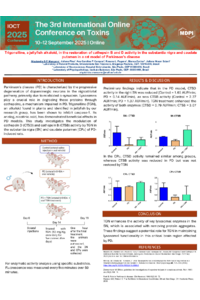 Poster PDF