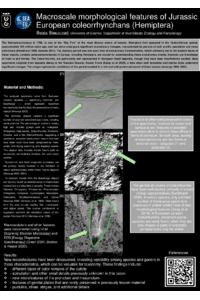 Poster PDF