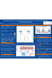 Poster PDF