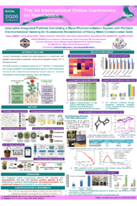 Poster PDF