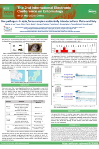 Poster PDF