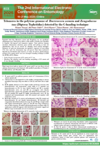 Poster PDF