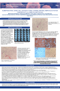 Poster PDF
