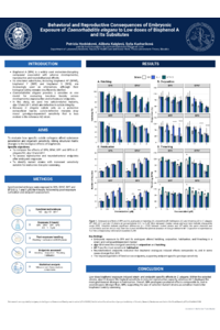 Poster PDF