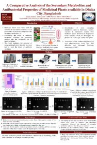 Poster PDF