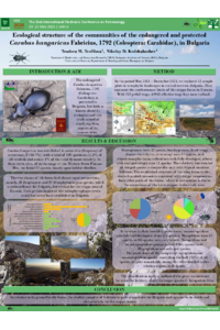 Poster PDF