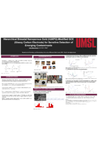 Poster PDF