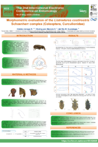 Poster PDF