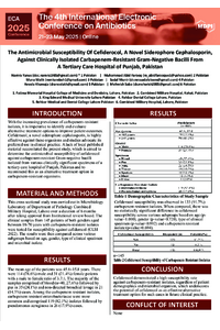 Poster PDF