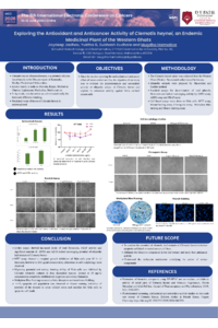 Poster PDF