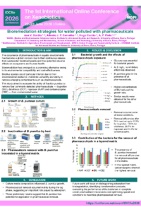Poster PDF