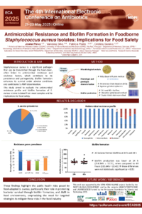 Poster PDF