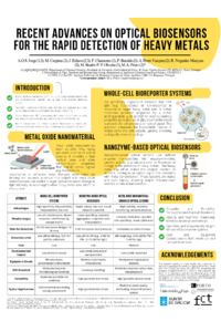 Poster PDF