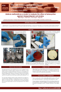 Poster PDF
