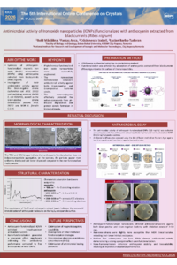 Poster PDF