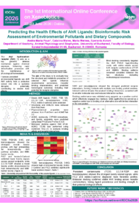 Poster PDF