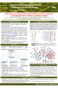 Poster PDF