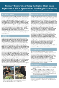 Poster PDF