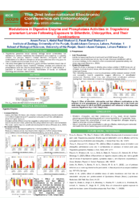 Poster PDF