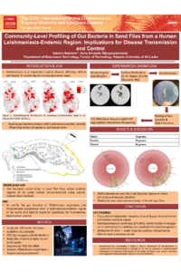 Poster PDF