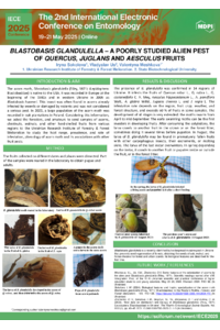 Poster PDF