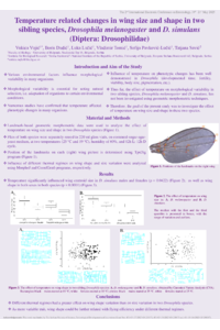 Poster PDF