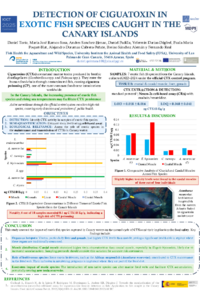 Poster PDF