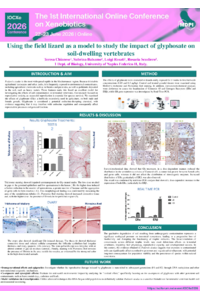 Poster PDF