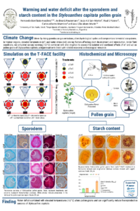 Poster PDF
