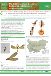 Poster PDF