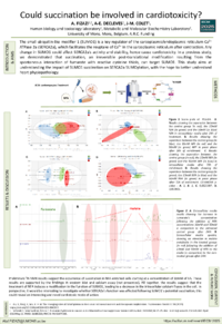 Poster PDF