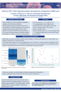 Poster PDF