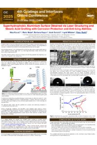 Poster PDF