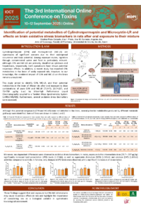 Poster PDF