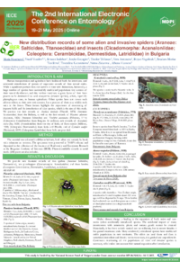 Poster PDF