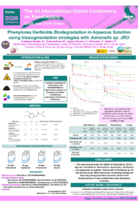 Poster PDF