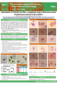 Poster PDF