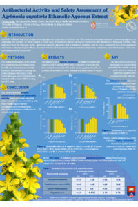 Poster PDF