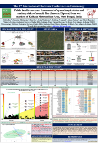 Poster PDF