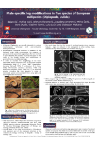Poster PDF
