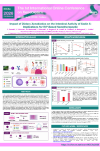 Poster PDF