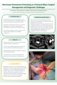 Poster PDF